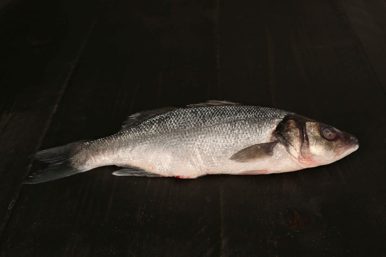 Zeebaars