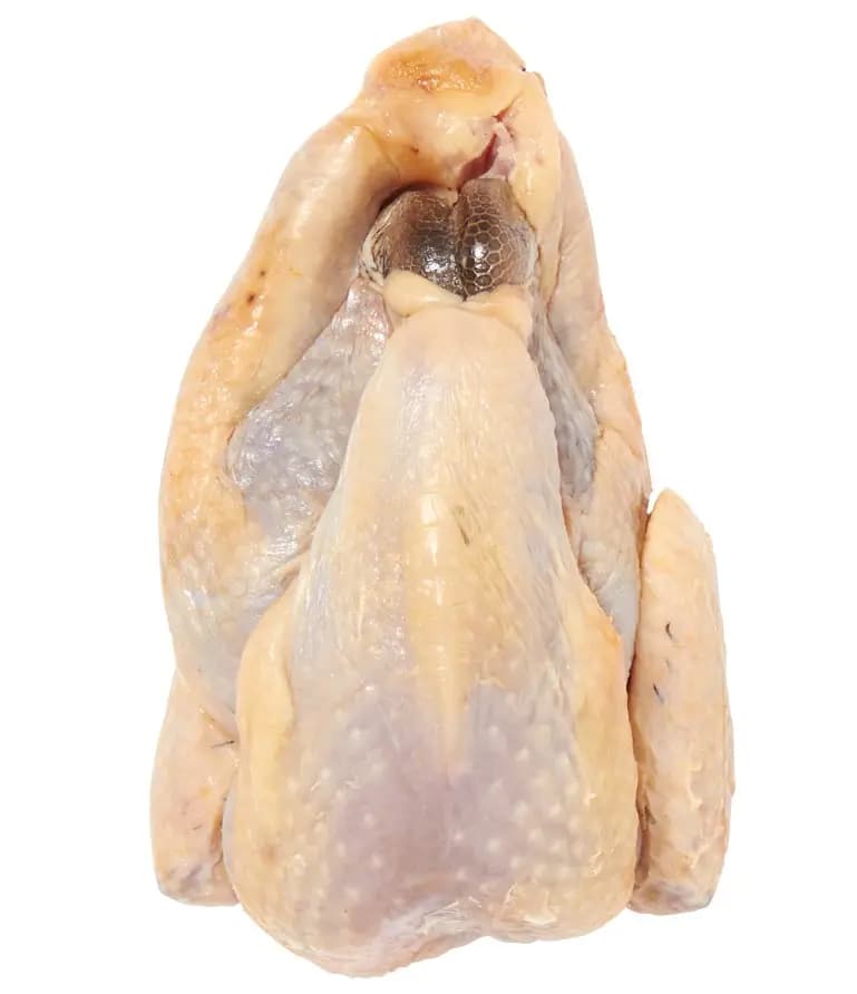 Parelhoen panklaar heel