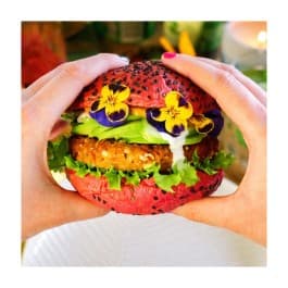 Avocado burger vegan