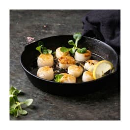 Coquilles St jacobsschelpen