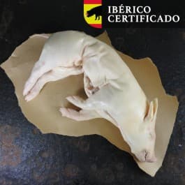 Speenvarken Iberico