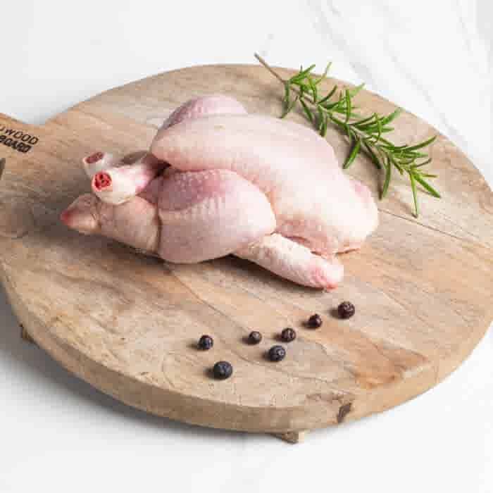 Poussin
