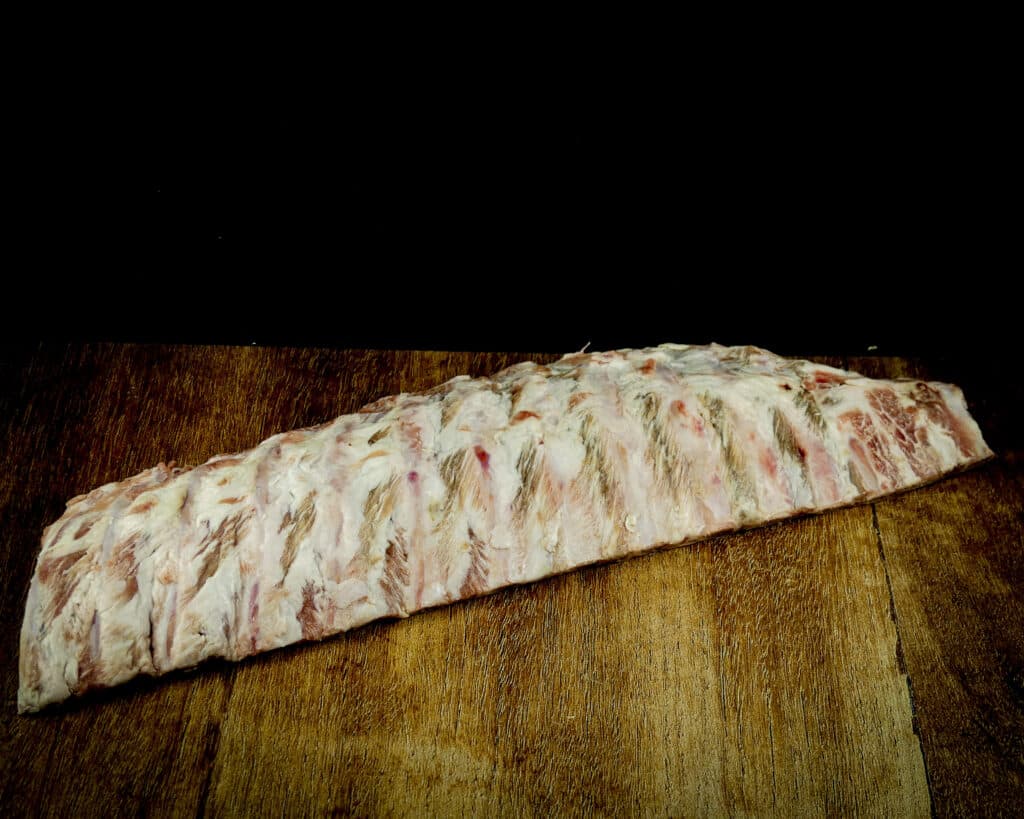 Iberico buikrib